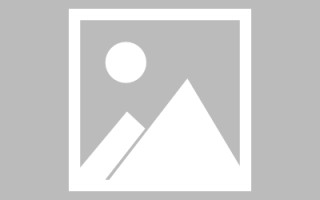 大竹搭建网站招聘信息（网站制作 招聘）